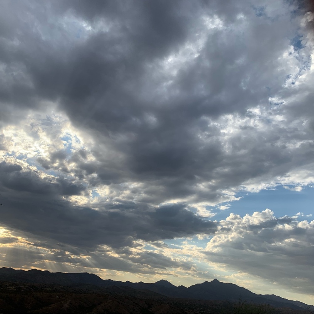 Meet your Posher, Lottie